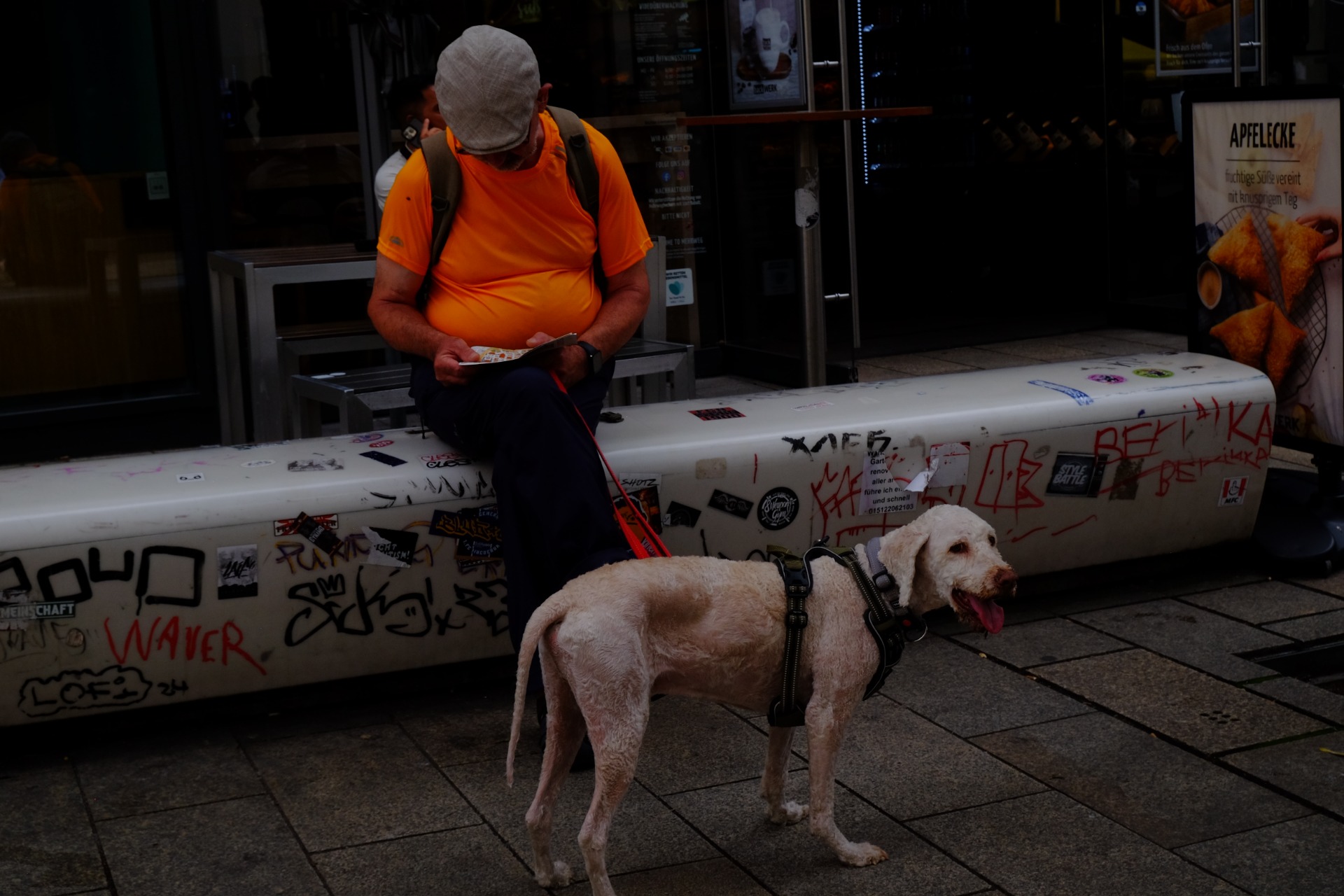 Mann med hund i Leipzig